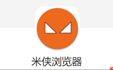 米侠浏览器无法登录网站怎么办 米侠浏览器网站登录问题解决方法