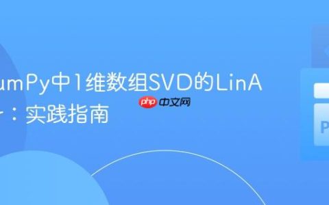 解决NumPy中1维数组SVD的LinAlgError：实践指南