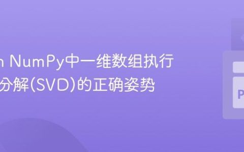 Python NumPy中一维数组执行奇异值分解(SVD)的正确姿势