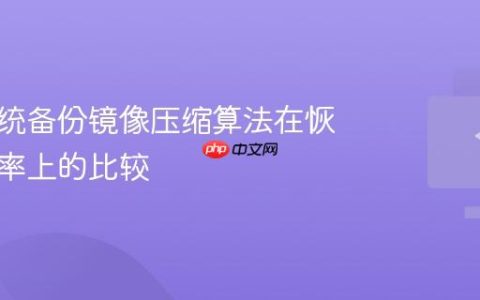 电脑系统备份镜像压缩算法在恢复成功率上的比较