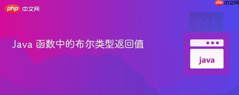 Java 函数中的布尔类型返回值