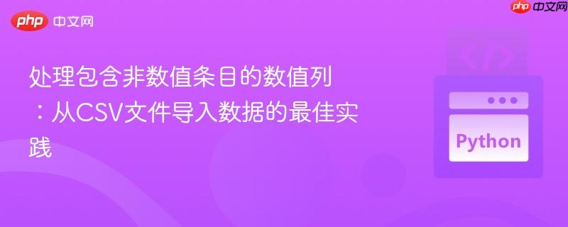 处理包含非数值条目的数值列:从csv文件导入数据的最佳实践