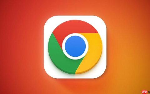 Chrome浏览器入口直接打开 谷歌浏览器官网链接