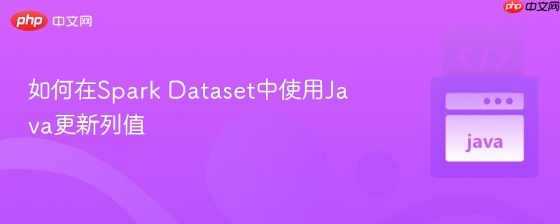 如何在spark dataset中使用java更新列值