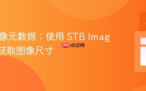 获取图像元数据：使用 STB Image 快速获取图像尺寸