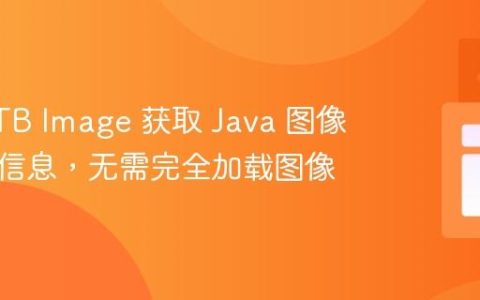 使用 STB Image 获取 Java 图像的尺寸信息，无需完全加载图像