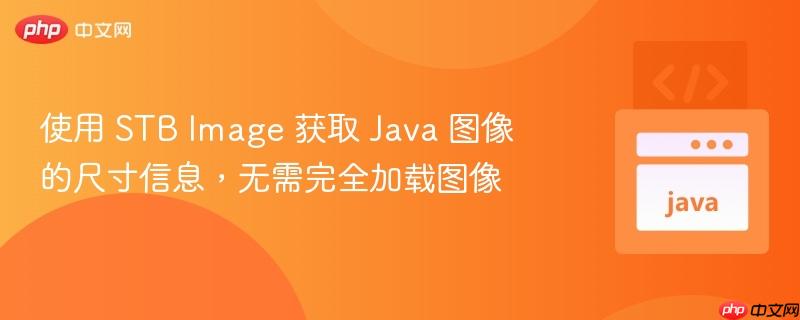 使用 STB Image 获取 Java 图像的尺寸信息,无需完全加载图像