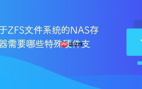 构建基于ZFS文件系统的NAS存储服务器需要哪些特殊硬件支持？
