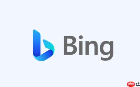 Bing搜索官方网站直达地址 Bing搜索平台入口链接最新首页
