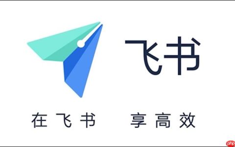 飞书聊天表情无法发送怎么办 飞书表情包加载与修复技巧