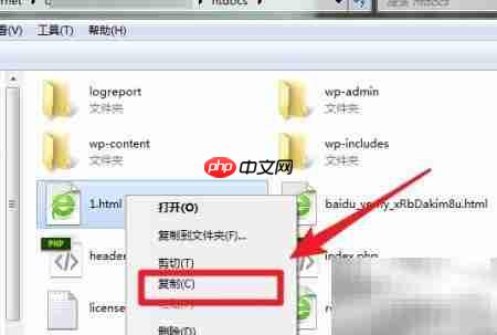 如何登录FTP下载文件