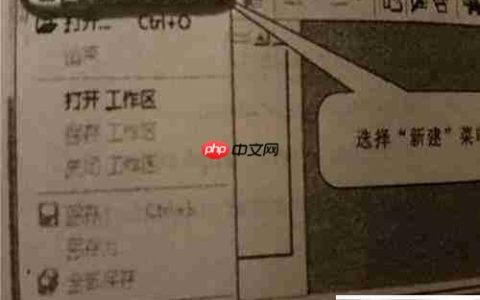C语言上机实训