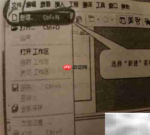 C语言上机实训
