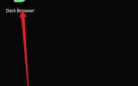 Dark Browser搜索引擎设置方法