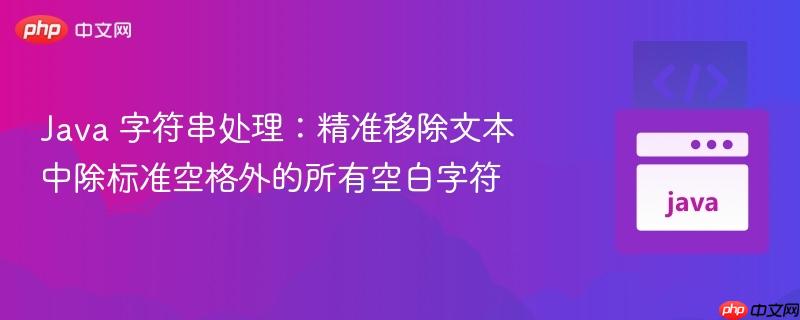 Java 字符串处理:精准移除文本中除标准空格外的所有空白字符