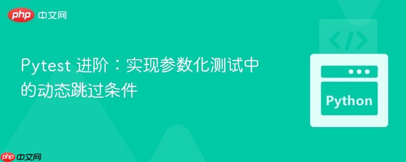 Pytest 进阶:实现参数化测试中的动态跳过条件