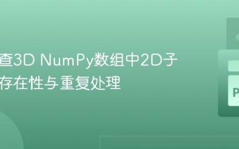 高效检查3D NumPy数组中2D子数组的存在性与重复处理