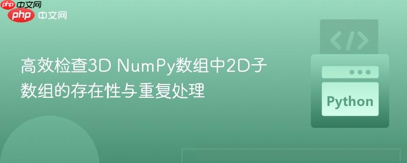 高效检查3D NumPy数组中2D子数组的存在性与重复处理