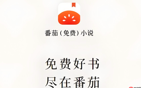 番茄免费小说怎么赚钱_番茄免费小说赚钱方法解析