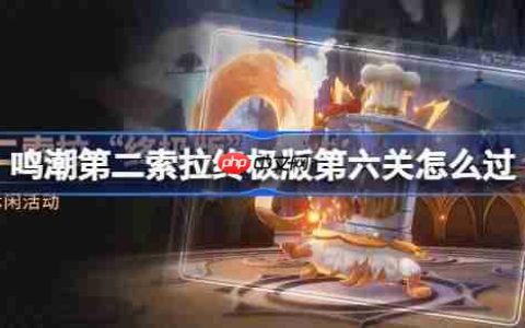鸣潮第二索拉终极版第六关怎么过-鸣潮第二索拉终极版第六关攻略