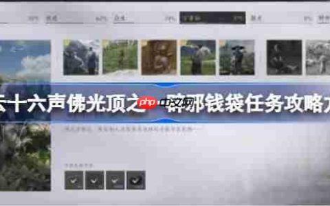 燕云十六声佛光顶之一辟邪钱袋任务攻略方法-燕云十六声佛光顶之一辟邪钱袋任务怎么做