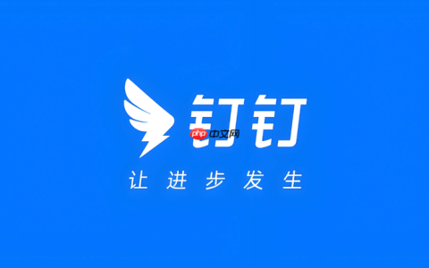 钉钉语音会议听不清 钉钉麦克风设置调整教程