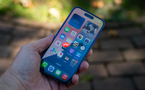 iPhone 15 Pro如何设置默认浏览器
