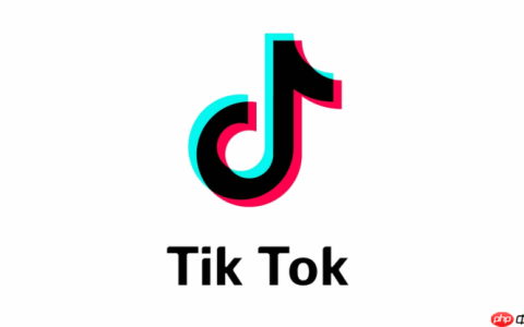 TikTok视频分享失败如何处理
