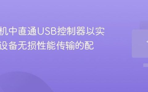 在虚拟机中直通USB控制器以实现外部设备无损性能传输的配置方法