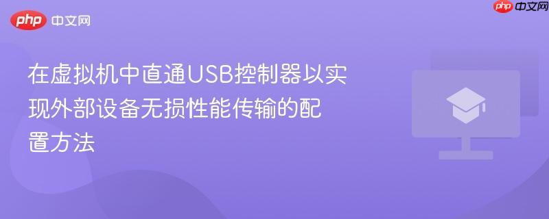 在虚拟机中直通USB控制器以实现外部设备无损性能传输的配置方法