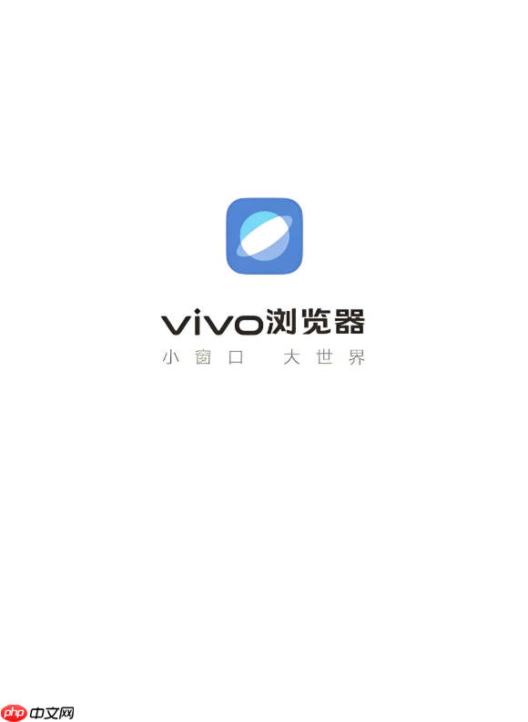 vivo浏览器怎么看下载进度_vivo浏览器文件下载进度查看方法