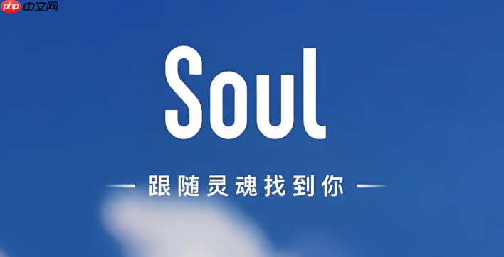 soul怎么知道对方有没有对我设置消息免打扰_soul消息免打扰状态查看