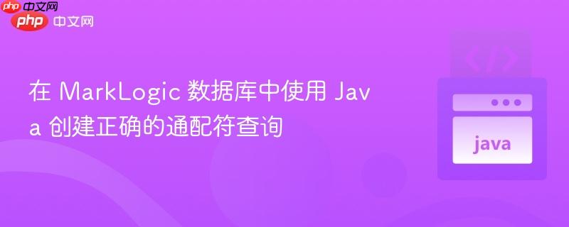 在 marklogic 数据库中使用 java 创建正确的通配符查询