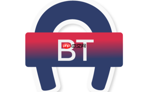 bt搜索引擎官方网站网址_bt搜索引擎官网主页地址官方
