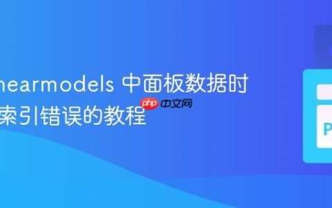 解决 linearmodels 中面板数据时间维度索引错误的教程
