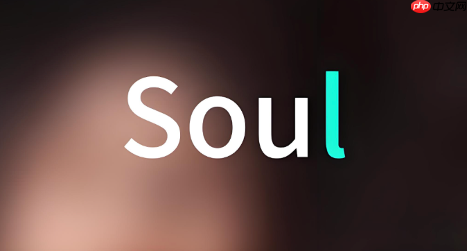 soul怎么设置仅聊天的好友关系_Soul仅聊天好友关系设置