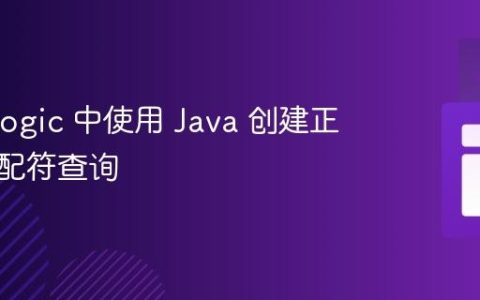 MarkLogic 中使用 Java 创建正确的通配符查询