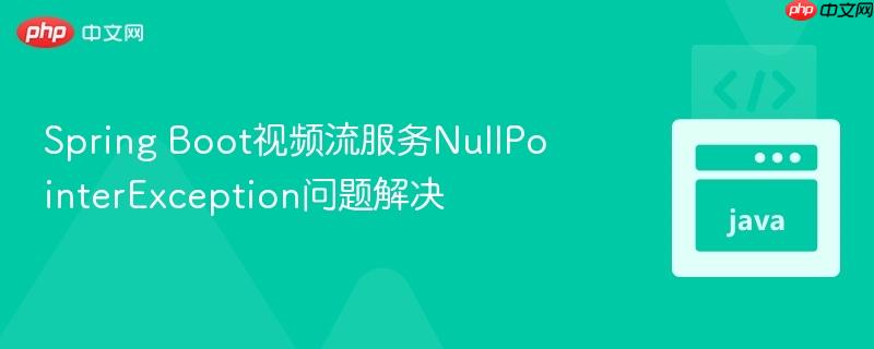 Spring Boot视频流服务NullPointerException问题解决