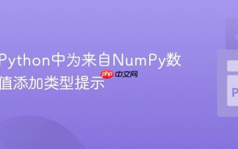 如何在Python中为来自NumPy数组的数值添加类型提示