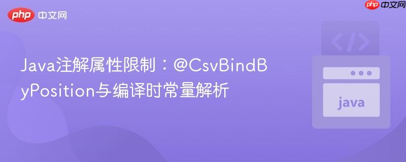 Java注解属性限制:@CsvBindByPosition与编译时常量解析
