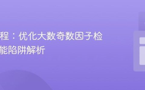 Java编程：优化大数奇数因子检测与性能陷阱解析