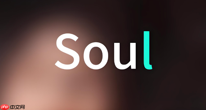 soul怎么隐藏自己的主页内容_Soul主页内容隐藏方法
