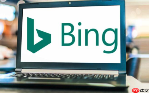 Bing搜索官方网站主页入口 Bing搜索平台直达网址最新入口