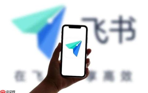 飞书群文件无法上传怎么办 飞书群文件上传异常修复技巧