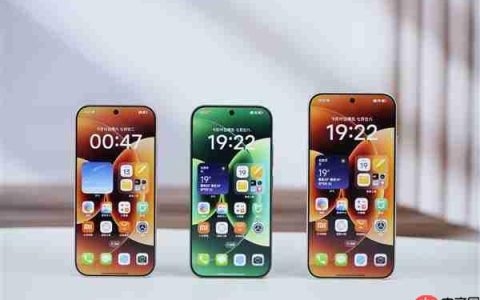 小米手机6.3/6.6/6.9三种尺寸哪个最受欢迎 结果很意外