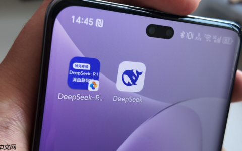 DeepSeek如何进行代码重构_DeepSeek进行代码重构策略
