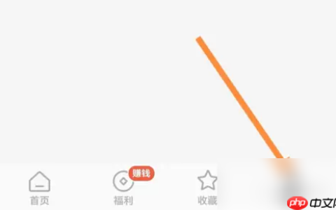 《红果免费短剧》支付管理设置方法