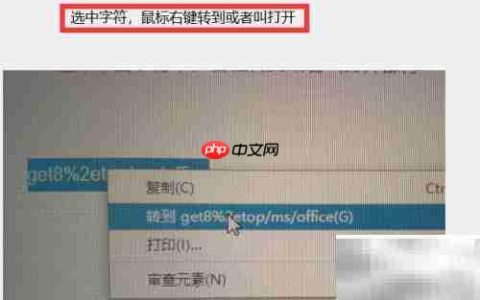Mac版Office安装包下载