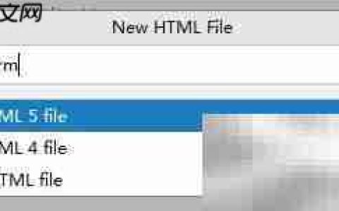 HTML表单标签使用指南