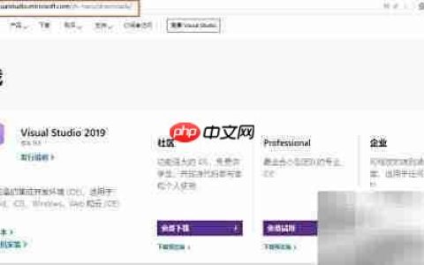 安装VS2019：详细步骤指南